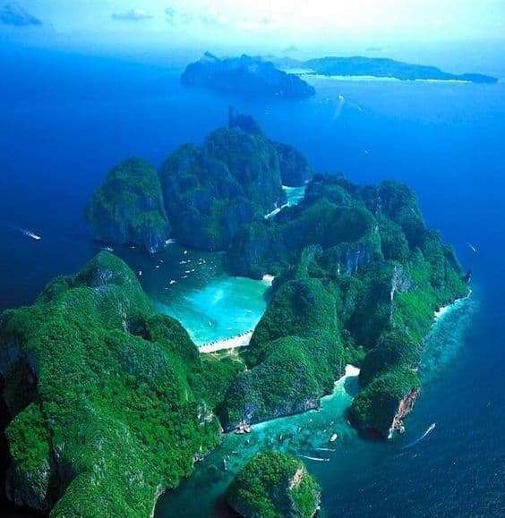 Discover Pacific South
